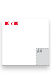 80-x-80